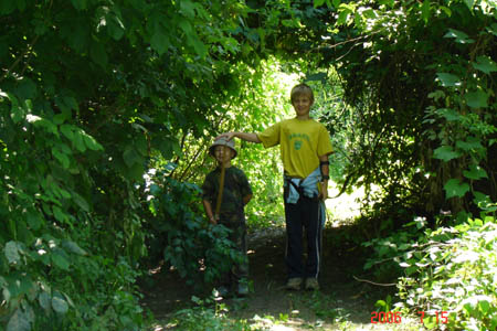 Tisza