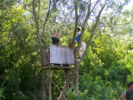Tisza