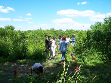 Tisza