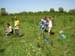 Tisza