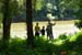 Tisza