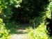 Tisza
