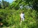 Tisza