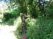 Tisza